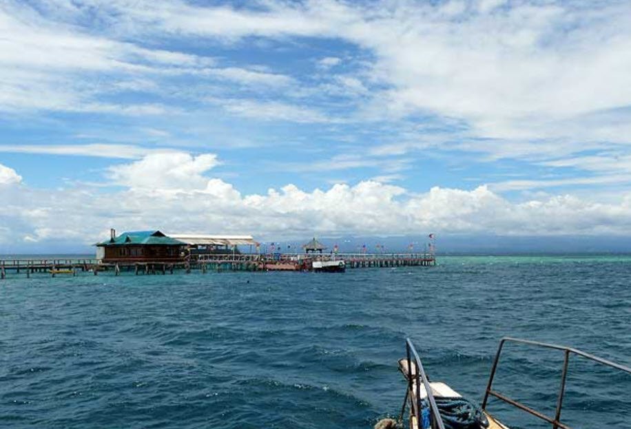 Dolphin Island, Philippines , Philippines